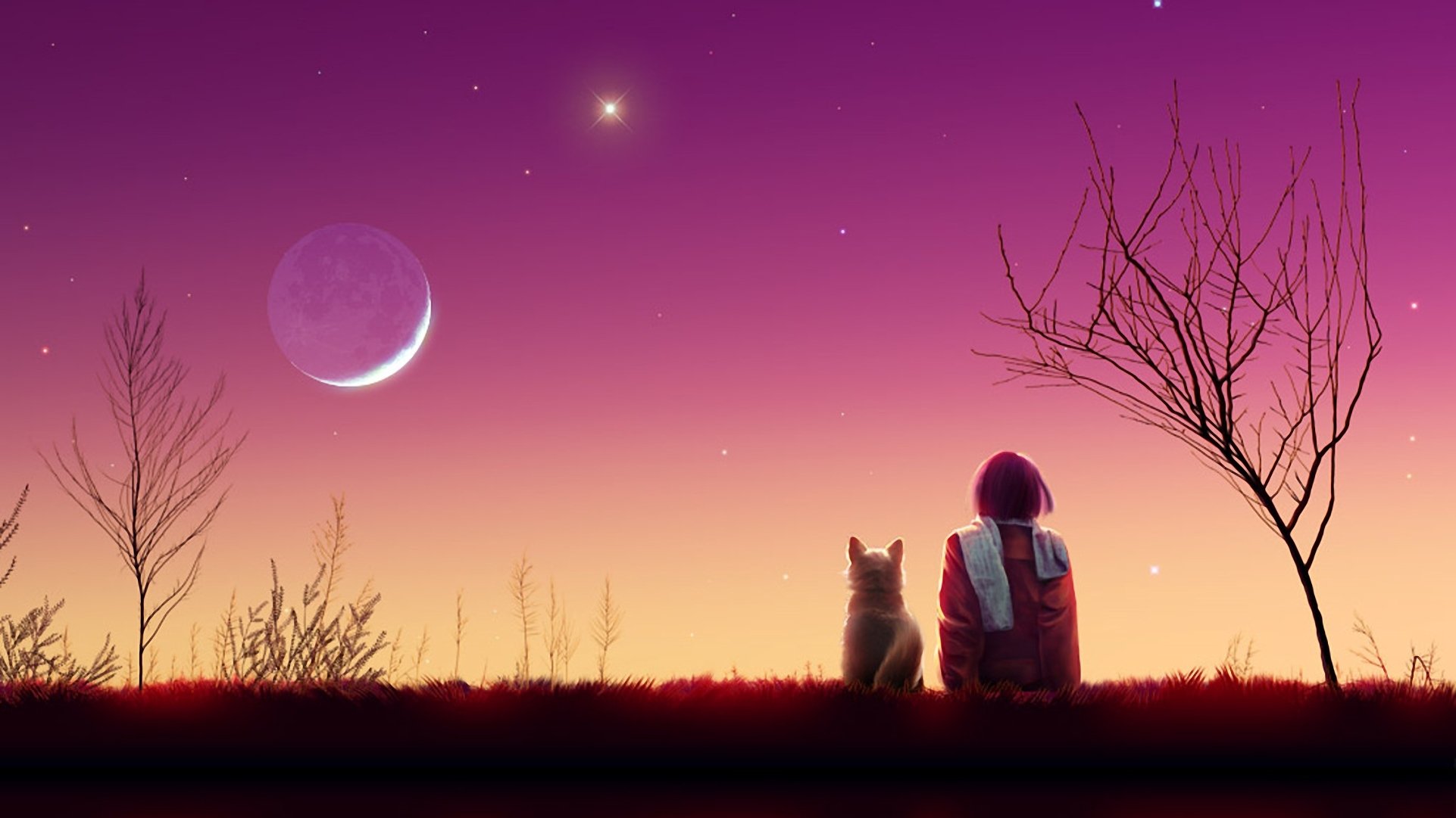 arte chica gato paisaje noche puesta de sol estrellas luna árboles bufanda