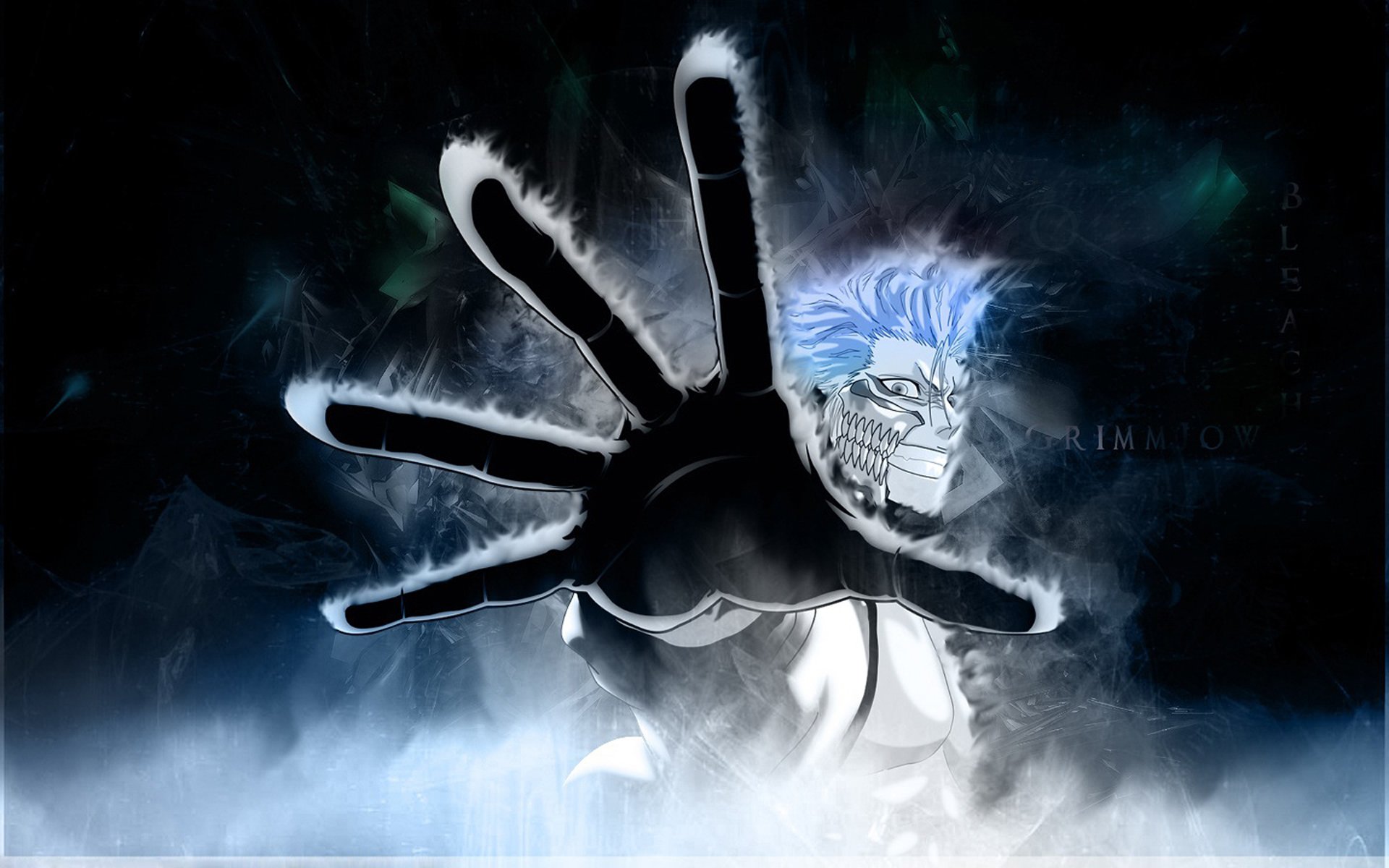 bleach bleach grimmjow