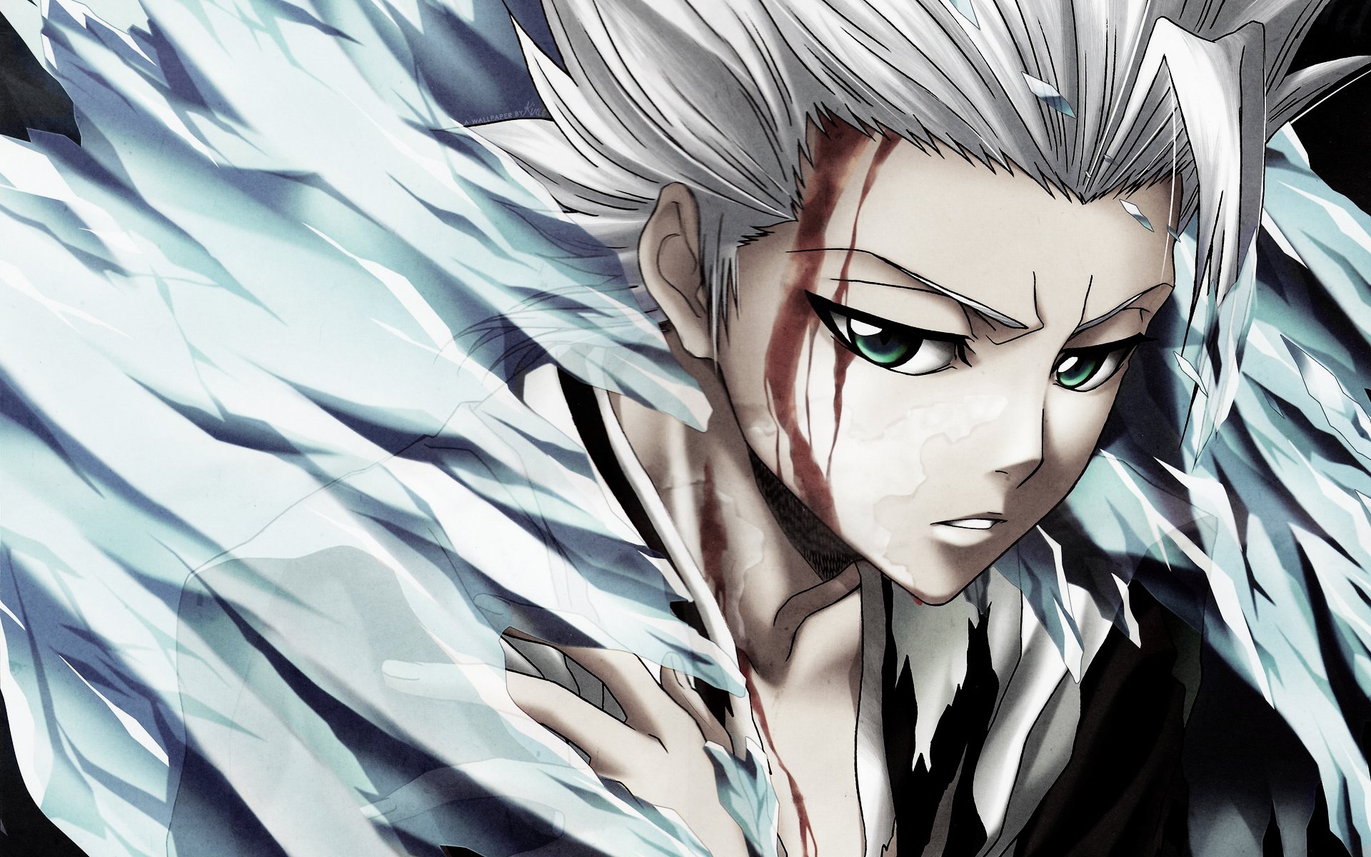 bleach bleach anime hitsugaya toushiro bankai