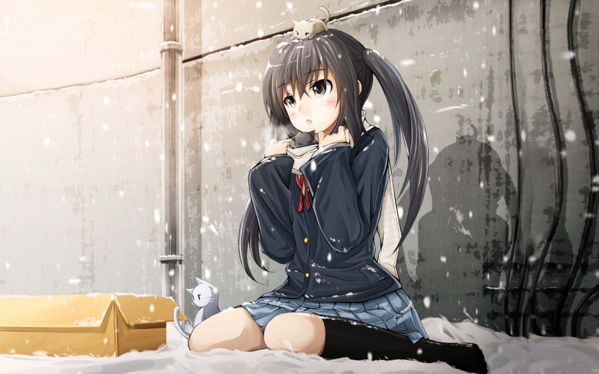 k-on nakano azusa fille chats hiver neige forme boîte