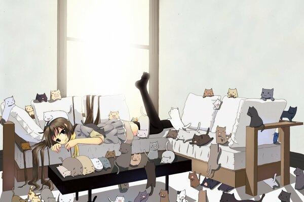 Anime girl in a room with a lot of cats