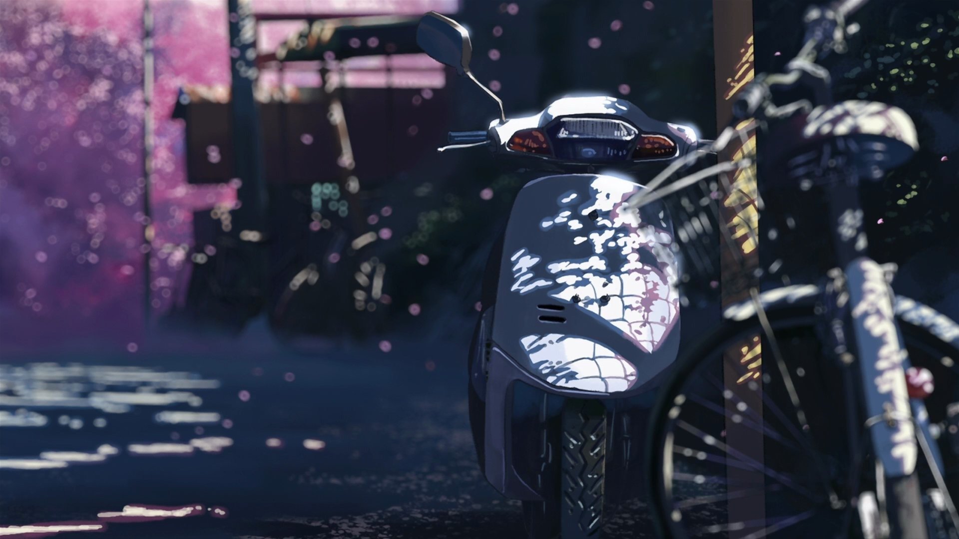 makoto shinkai bike 5 centimeters per second sakura