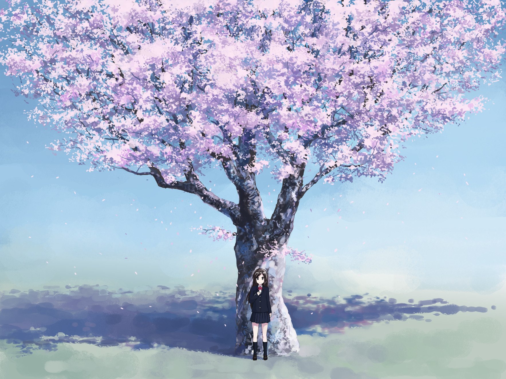 anime spring sakura cherry girl