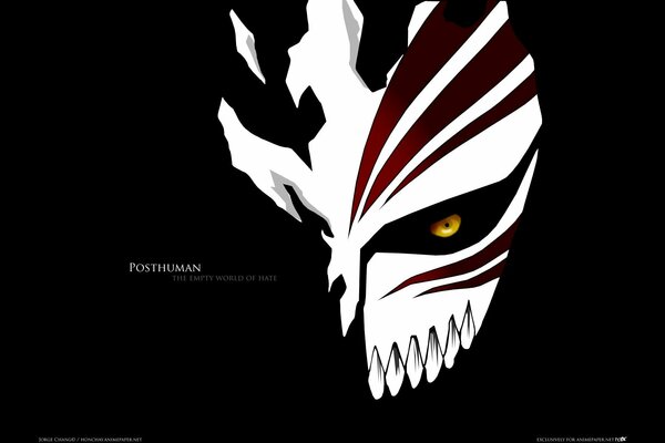 Anime bleach mask of the empty