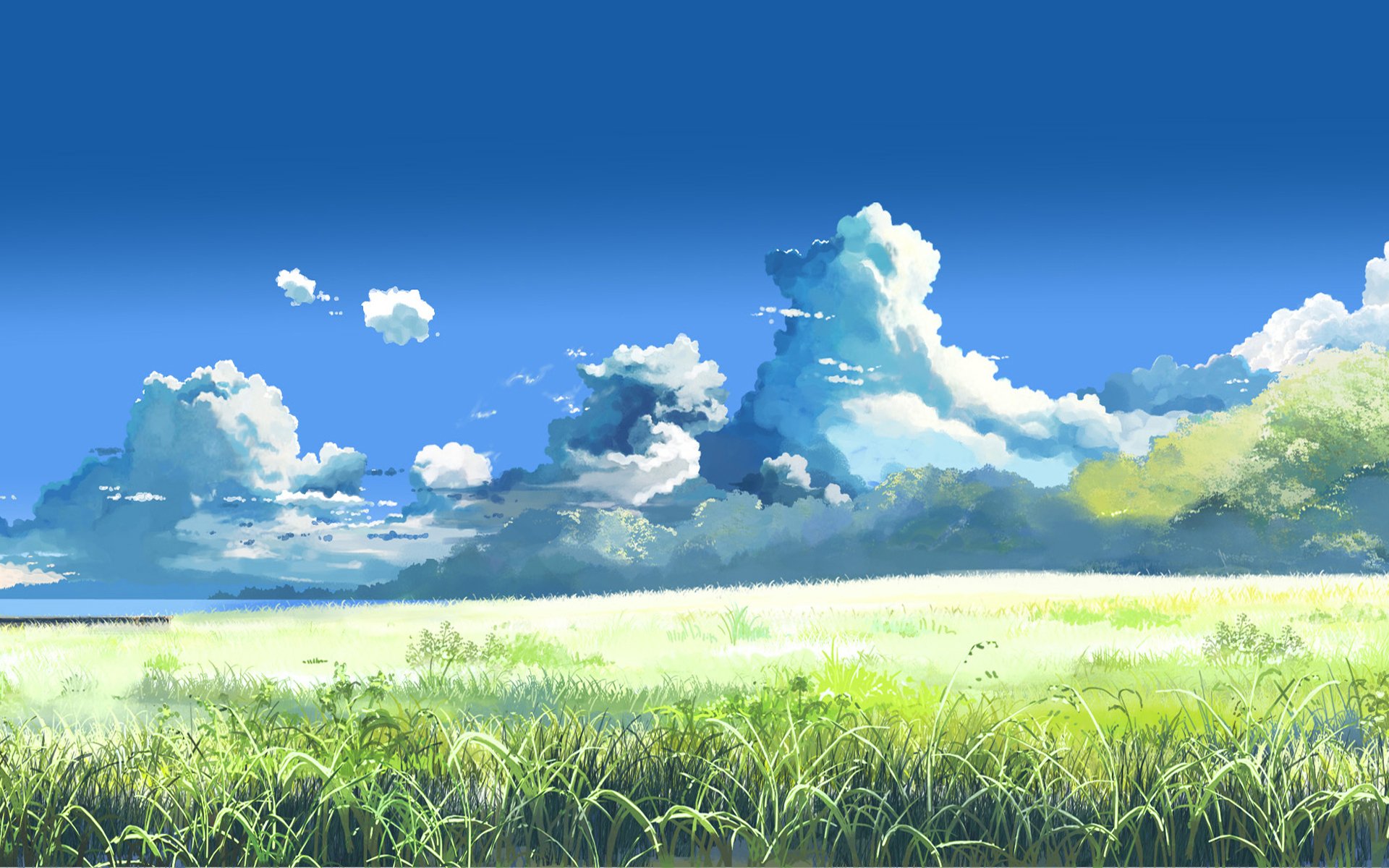 makoto sinkai hinter den wolken sommer