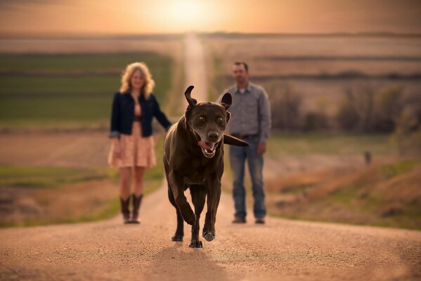 Dog walking sulla strada di una coppia innamorata