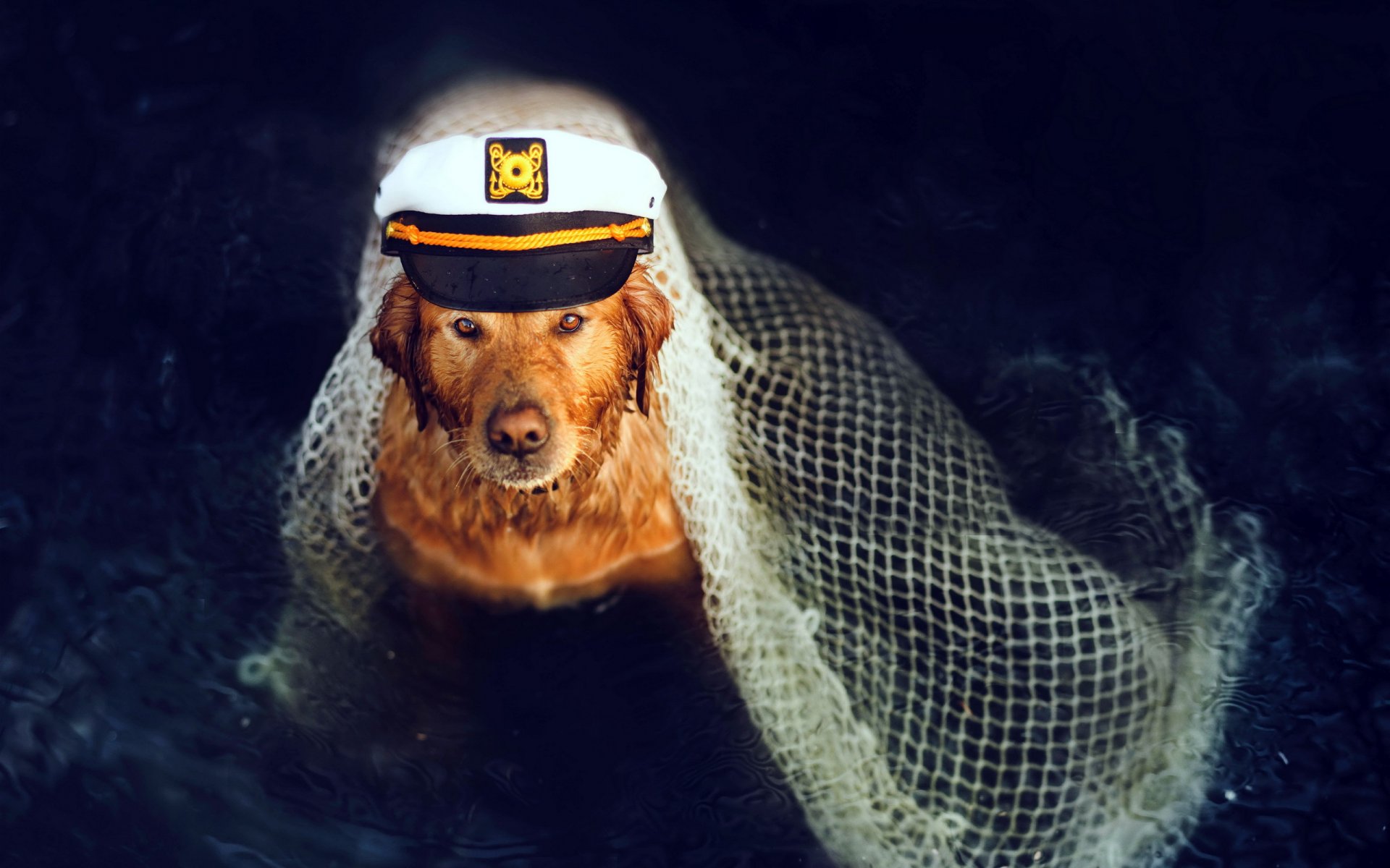 chien ami casquette filet capitaine