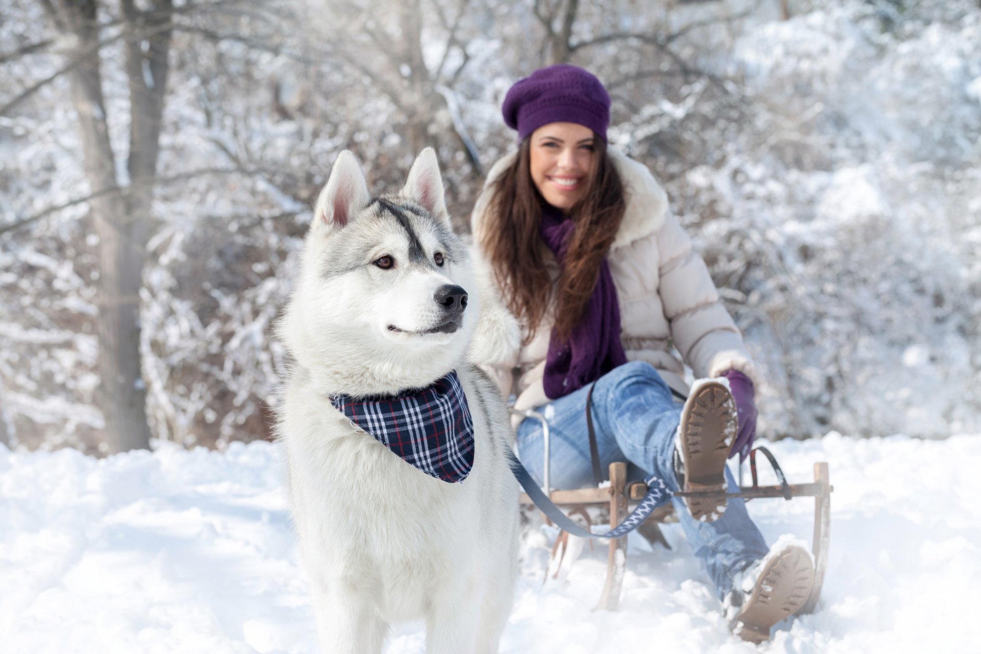 girls dogs winter snow nature