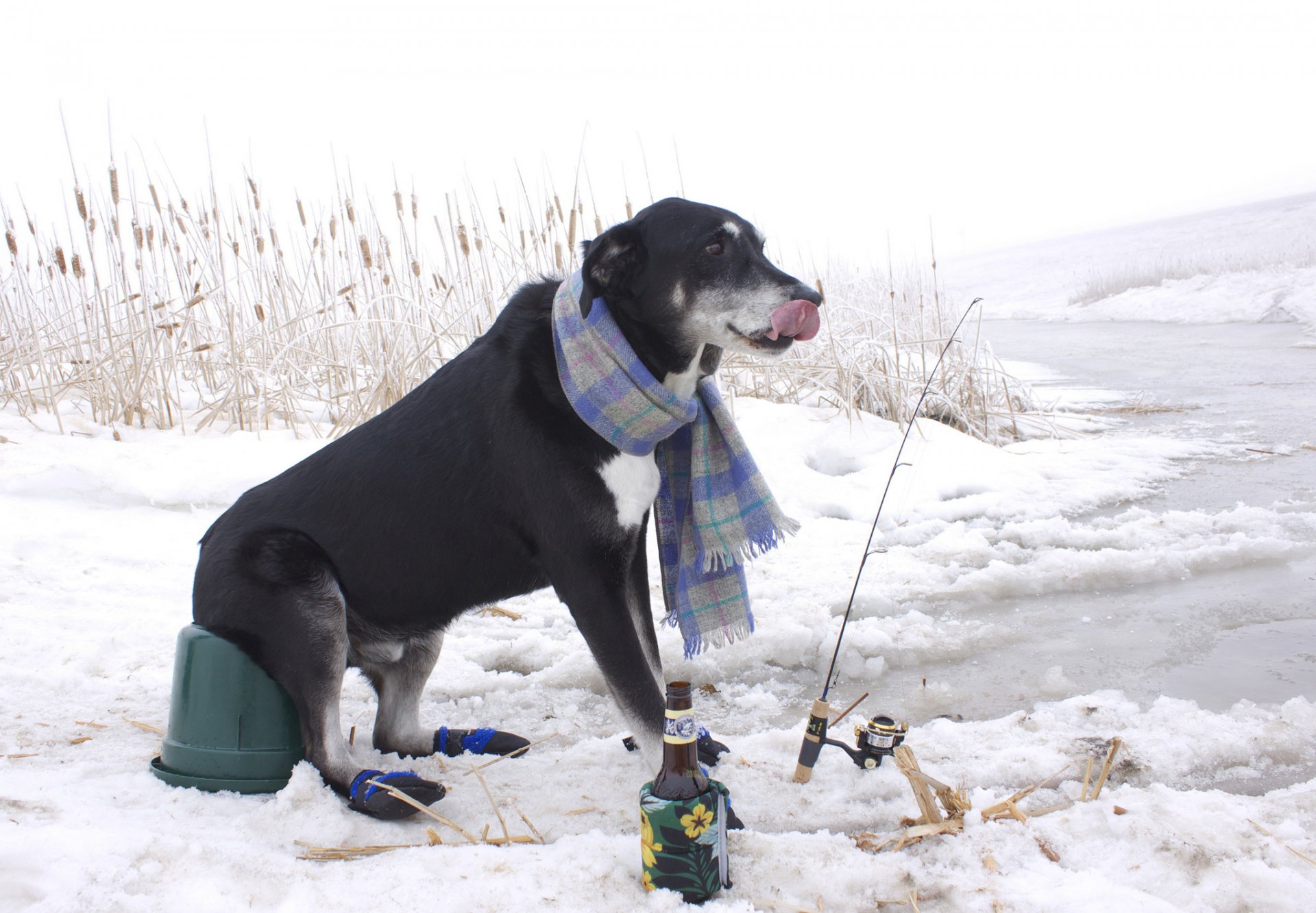 invierno pesca caña de pescar botella nieve bufanda pescador caña