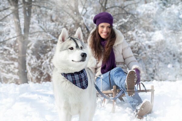 A girl on a sled next to a dog