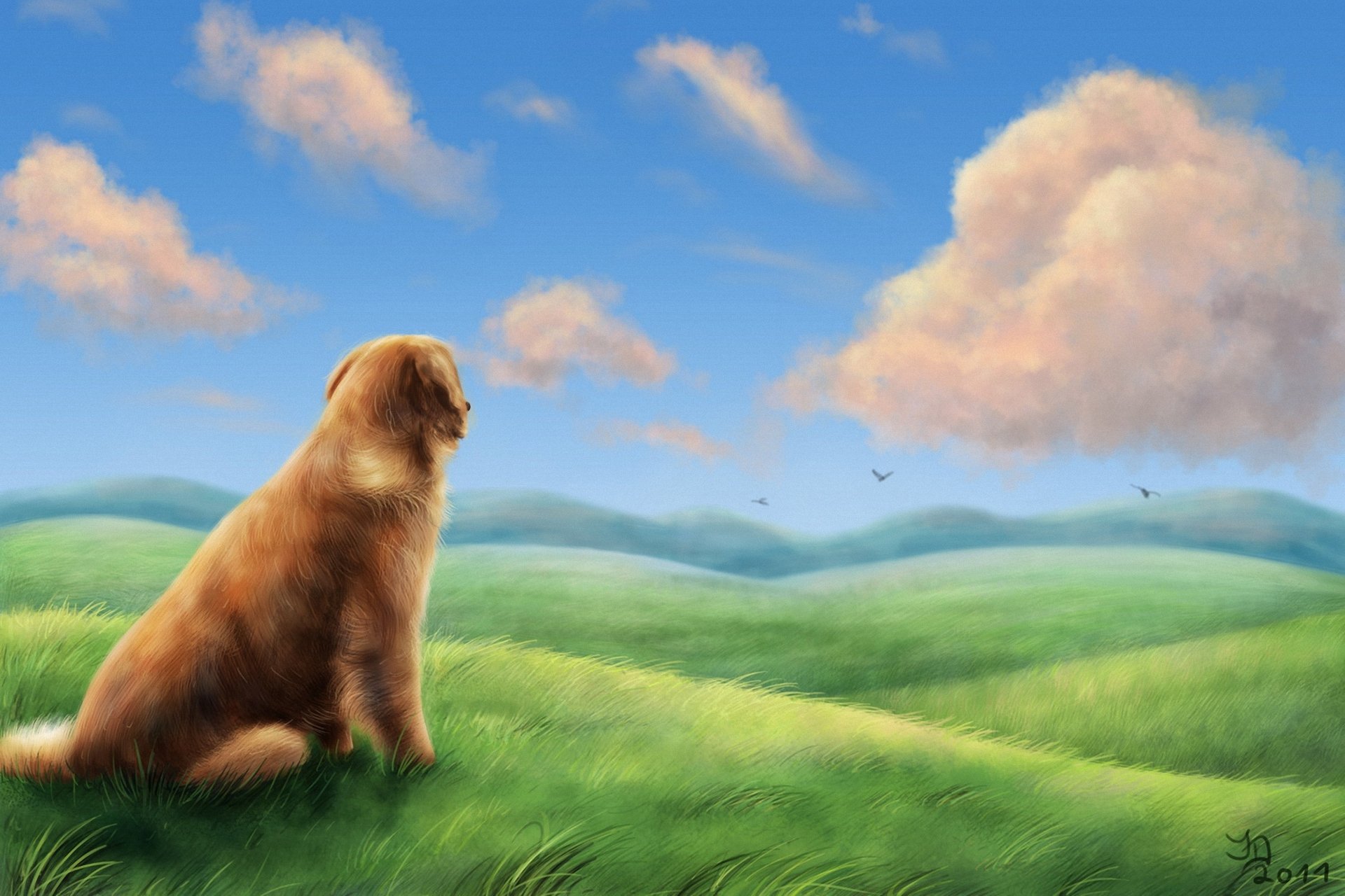 art chien herbe champ collines oiseaux vent nuages