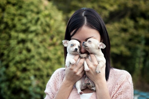 Deux chiots et une fille. Visage