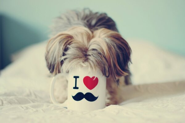 A dog buried in a cup with a cute inscription