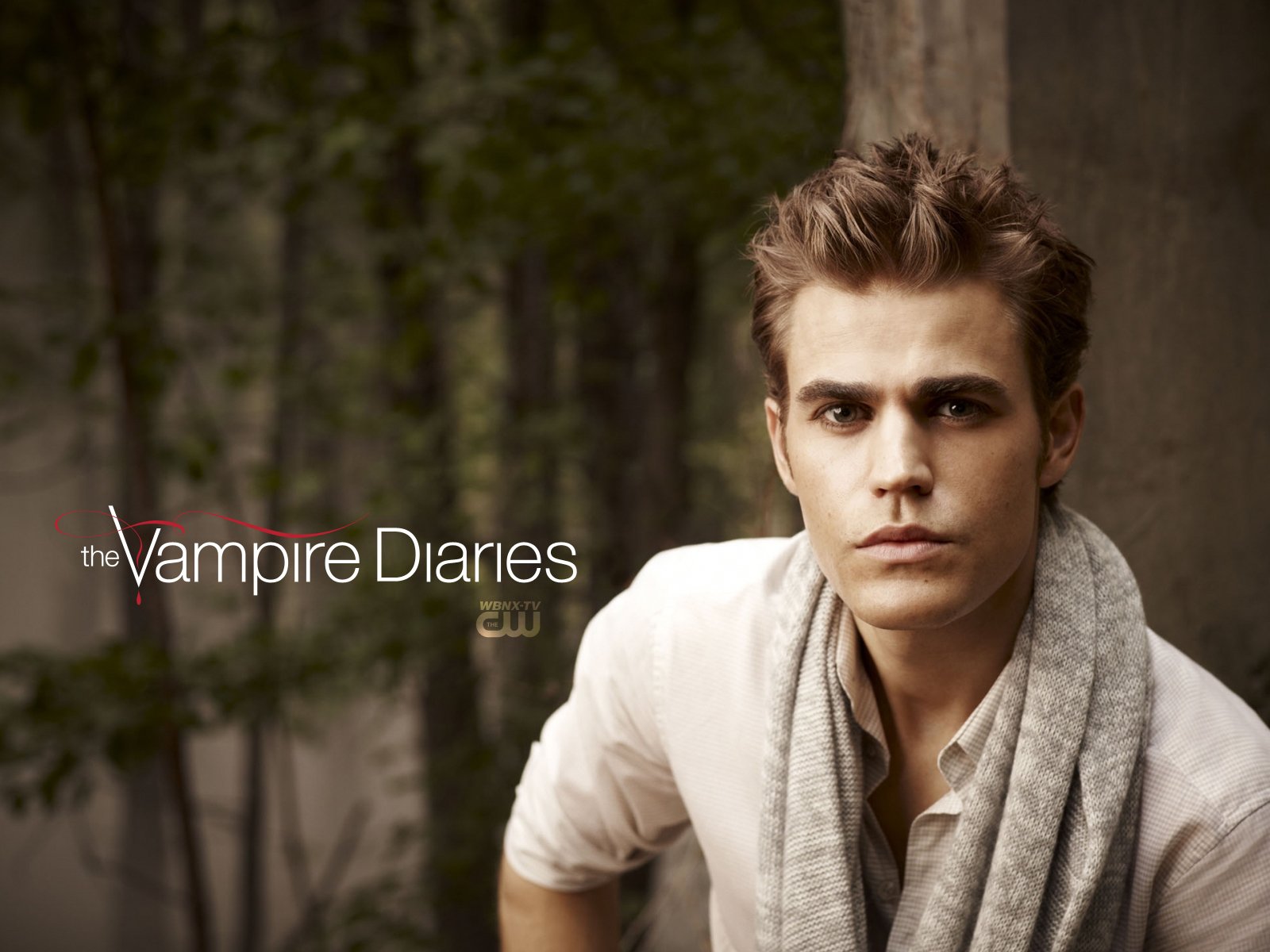 vampire diaries stefan salvator série télévisée 2010