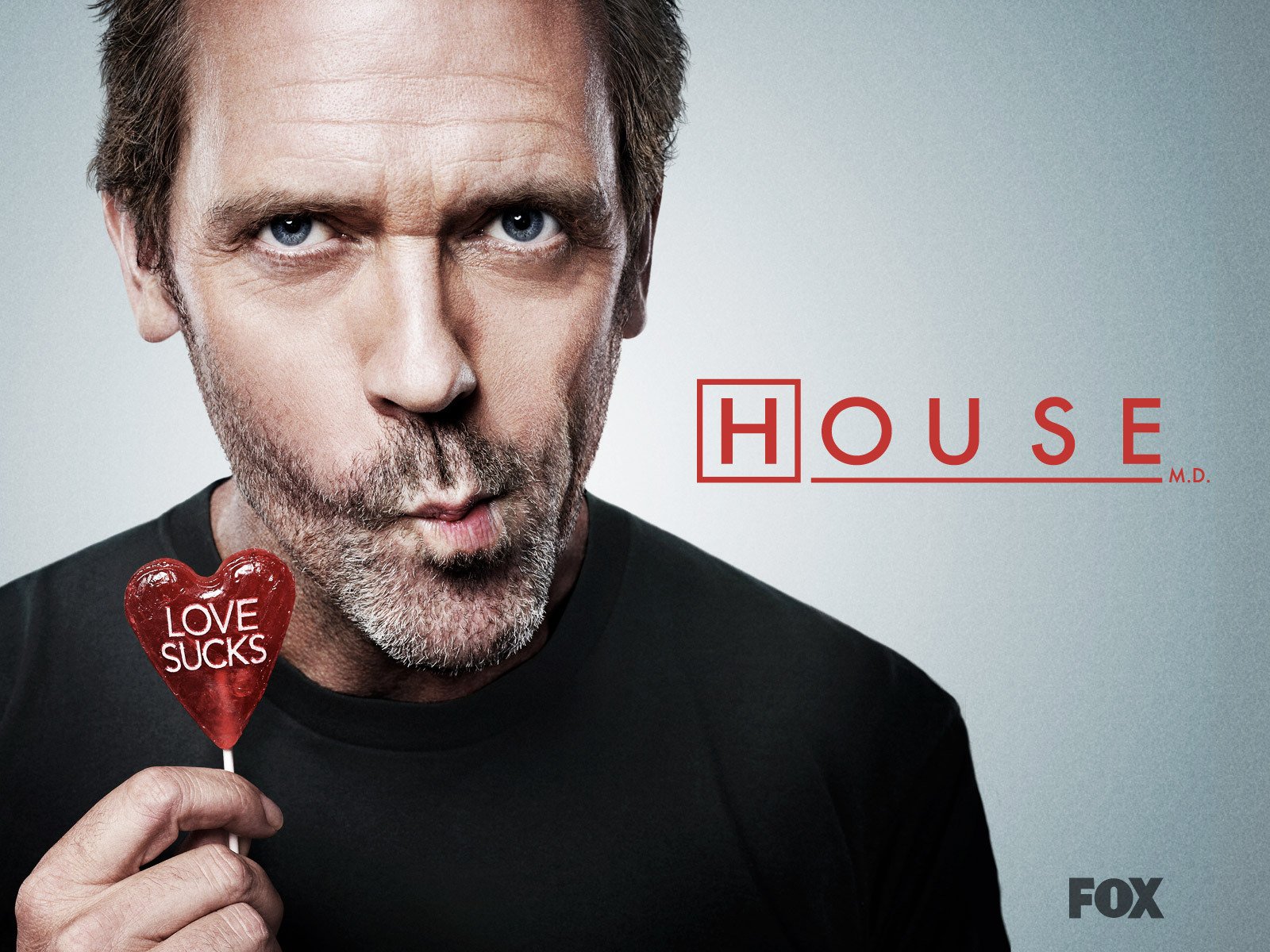 casa dr. house hugh laurie lecca-lecca