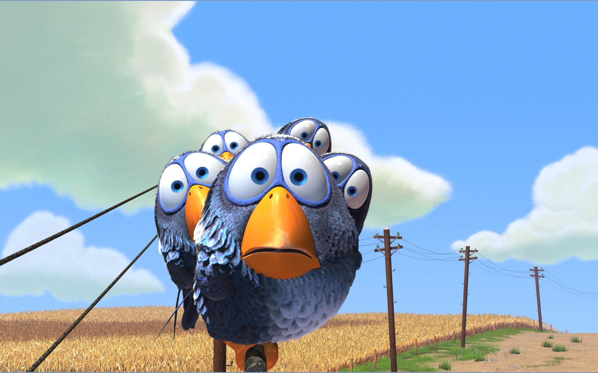 for birds about birds cartoon pixar birds bird birds sparrows sparrow wires poles field