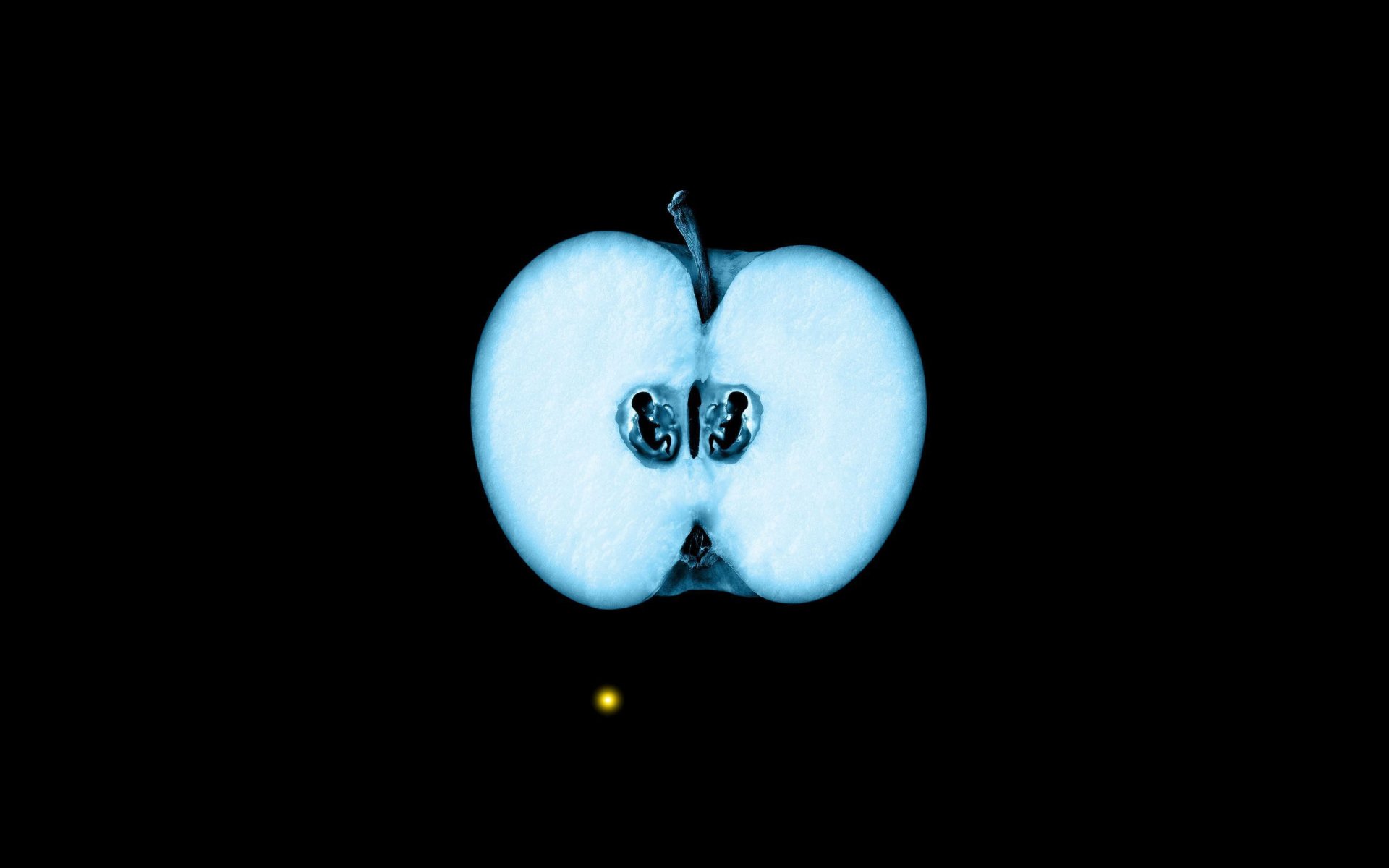 beyond face fringe fox x-rays apple embryo