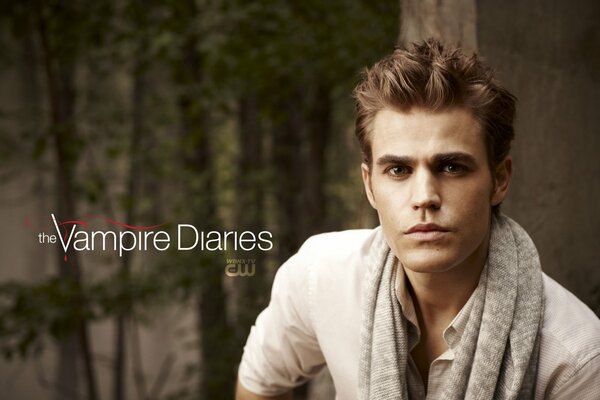 Vampire Diaries, de Stéphane Salvator dans la série télévisée 2010