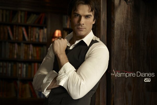 Damon Salvator the Vampire Diaries