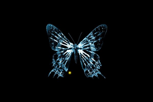 X-ray of a butterfly with a fringe beyond the edge