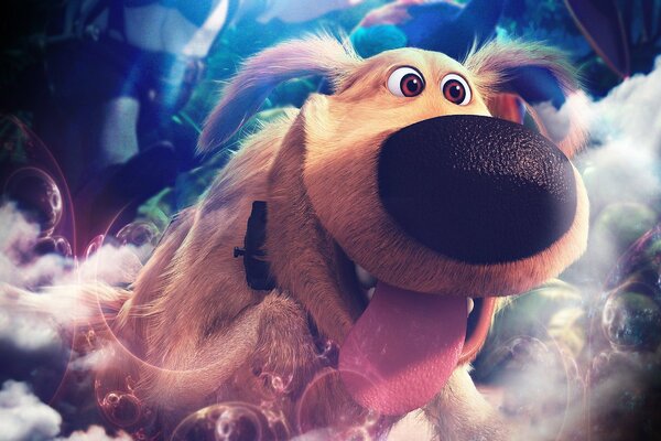 En haut. Le chien Smile de pixar