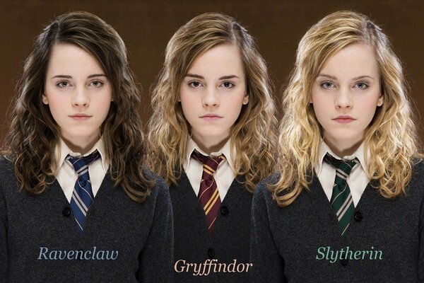 Les élèves de la faculté Gryphindors dans le film Harry Potter