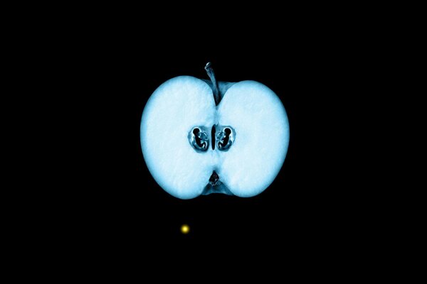 Photo d une pomme aux rayons x en coupe