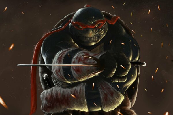 Teenage mutant ninja Turtles Raphael Art