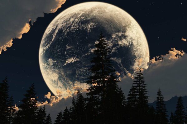 Stunning moon on the background of the forest