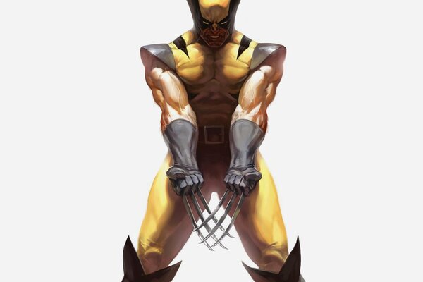 Naczynia Wolverine X-Men