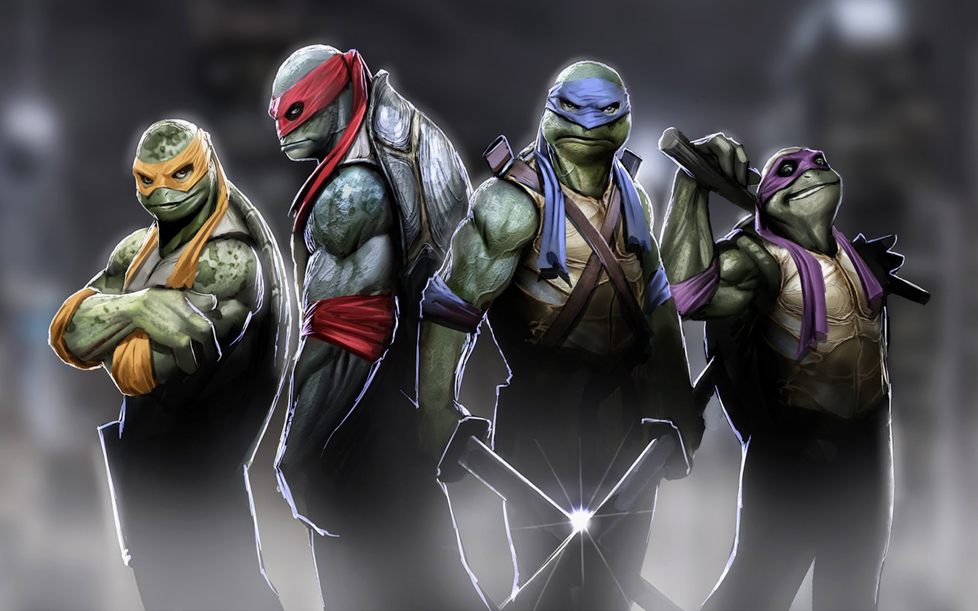 tmnt ninja schildkröten ninja turtles donatello raphael leonardo michelangelo