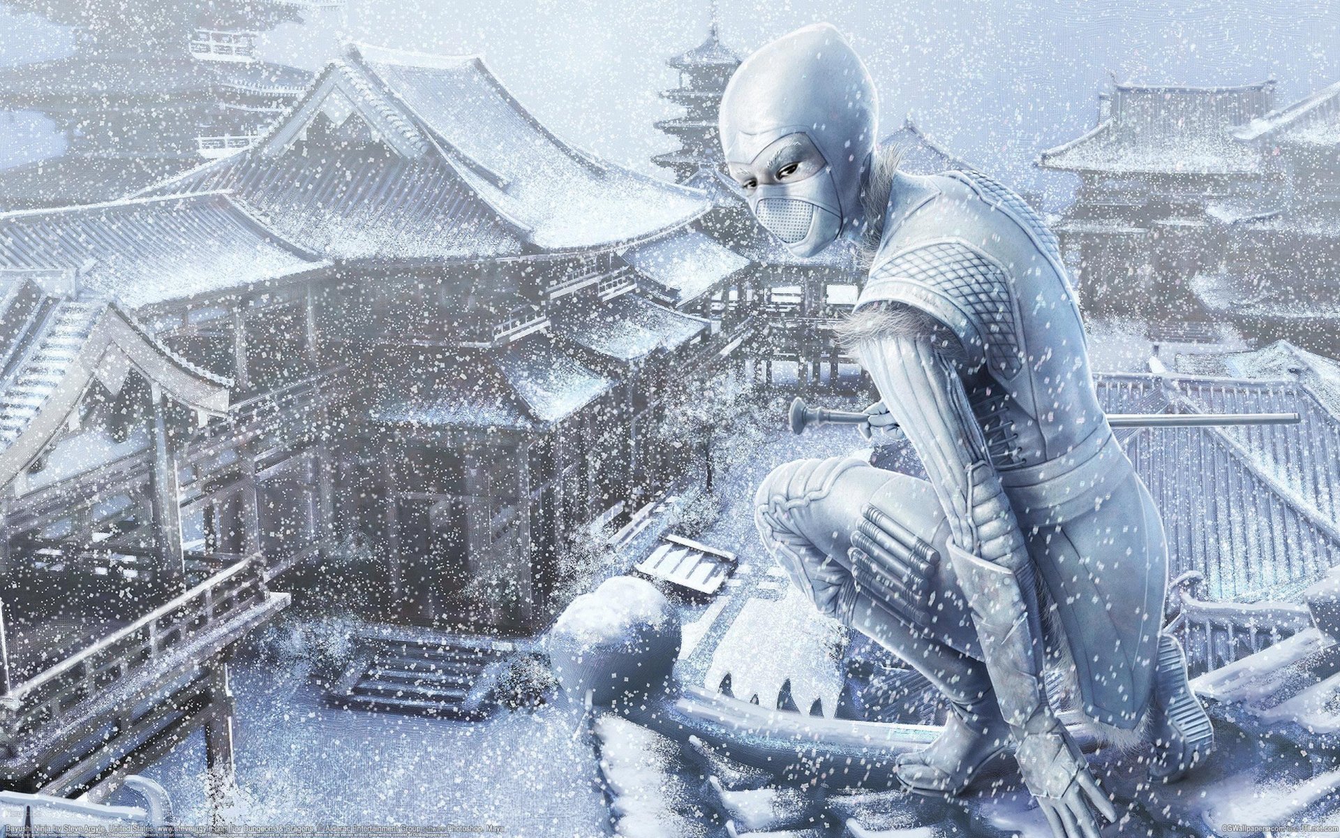 arte steve argyle chica ninja nieve invierno asia techo