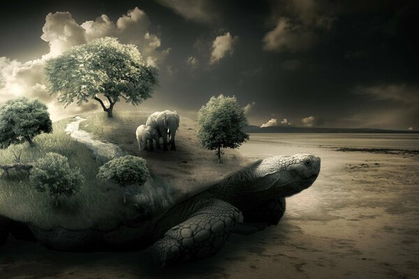 Schildkröte in der Wüste mit Bäumen auf dem Rücken