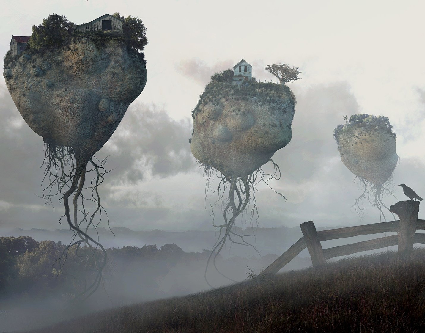 rocas casa cerca pájaro raíces niebla