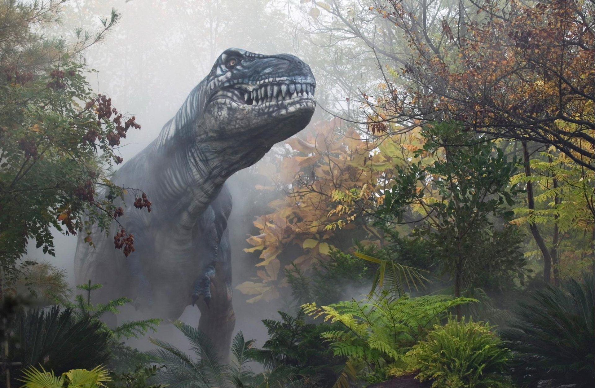 forest fog dinosaur autumn