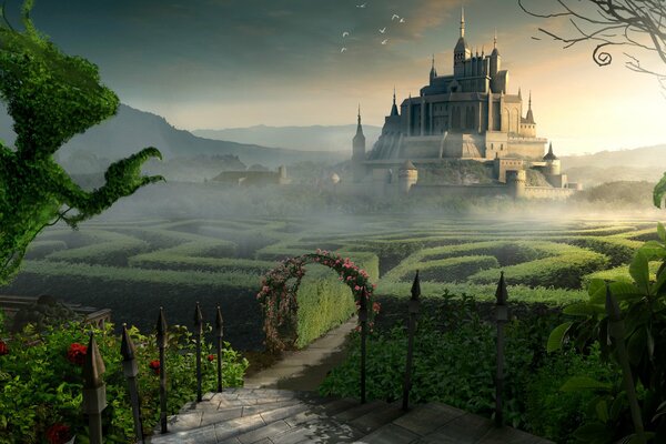 Elegancki labirynt w drodze do fantastycznego zamku