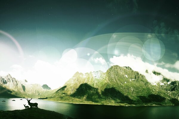 Deer on the background of large mountains, water and clouds