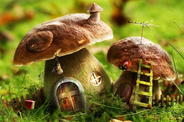 Два гриба, представляющие собой домики с лестницей и дверями