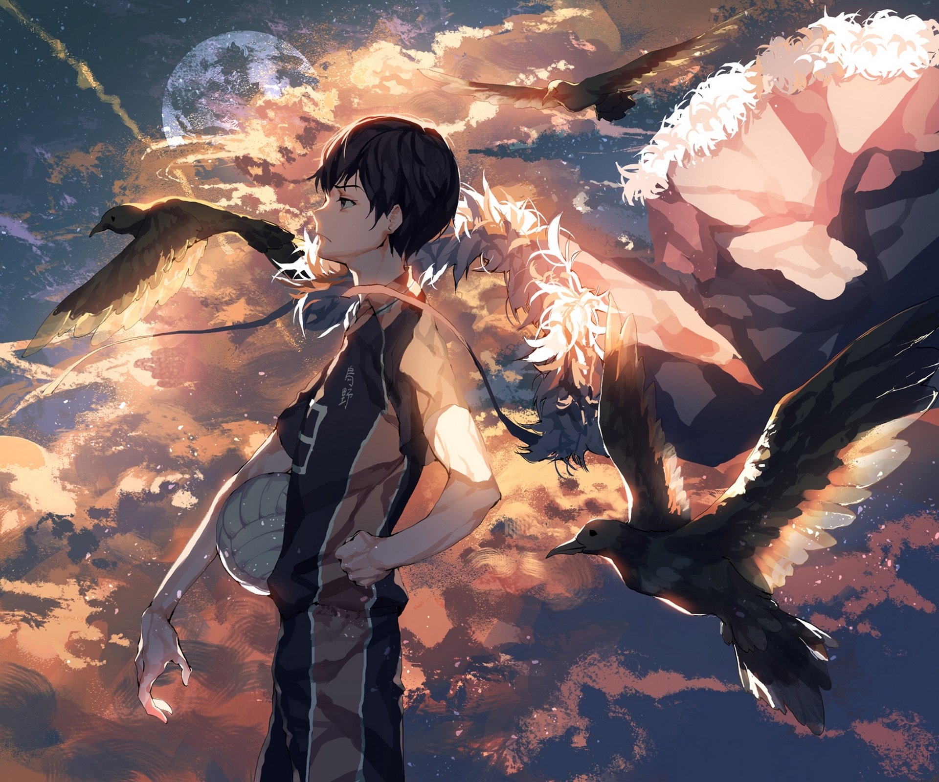 art ser323 anime haikyuu siatkówka tobio kageyama facet niebo zachód słońca ptaki piłka