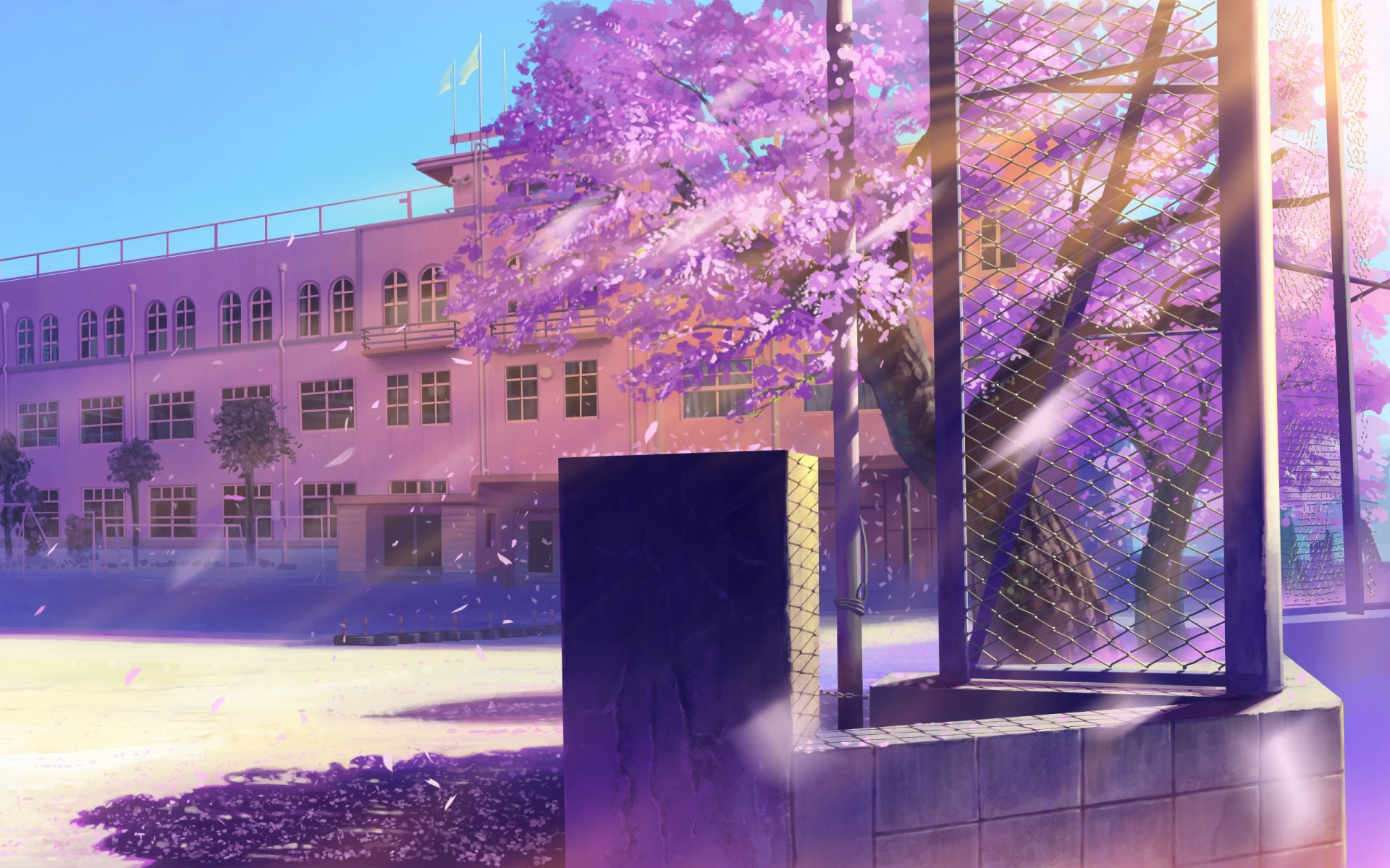 paisaje edificio escuela sakura flores rejilla pétalos reflejos arte