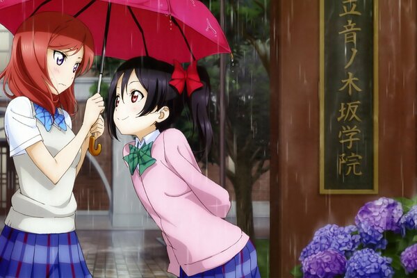 Anime Live Love ídolos escolares Maki Nishikino y nico Yazawa. Love live Maki Nishikino, Niko Yazawa. Maki y nico de Love Liv bajo la lluvia. Anime colegiala, proyecto ídolo de la escuela.