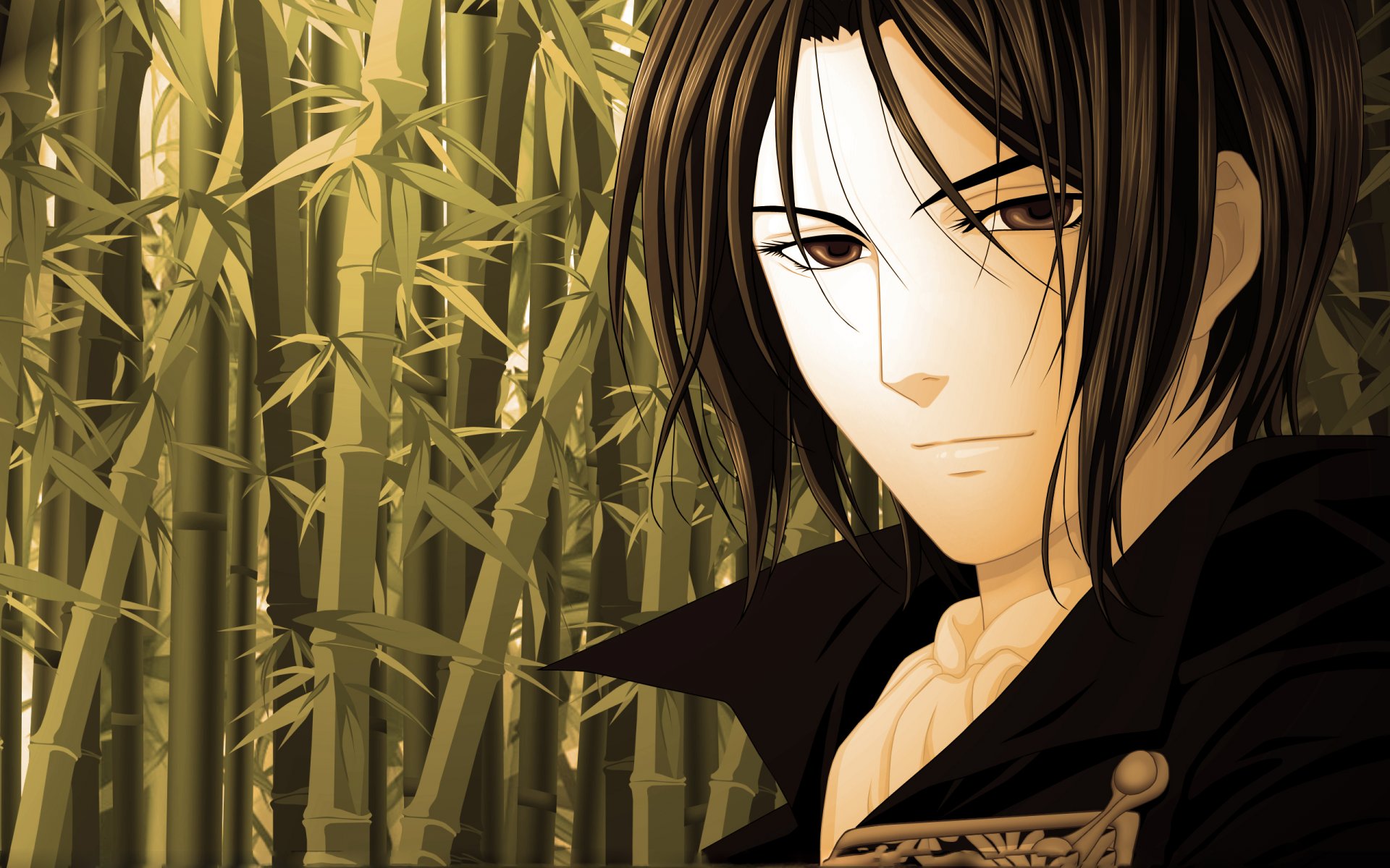 anime hakuouki shinsengumi kitan blasse sakura dämonen bambus kerl augen blick kunst okito