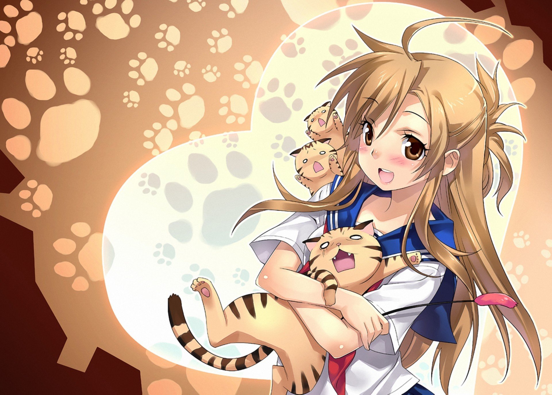 nyan koi mizuno kaede girl cats poor background traces hug