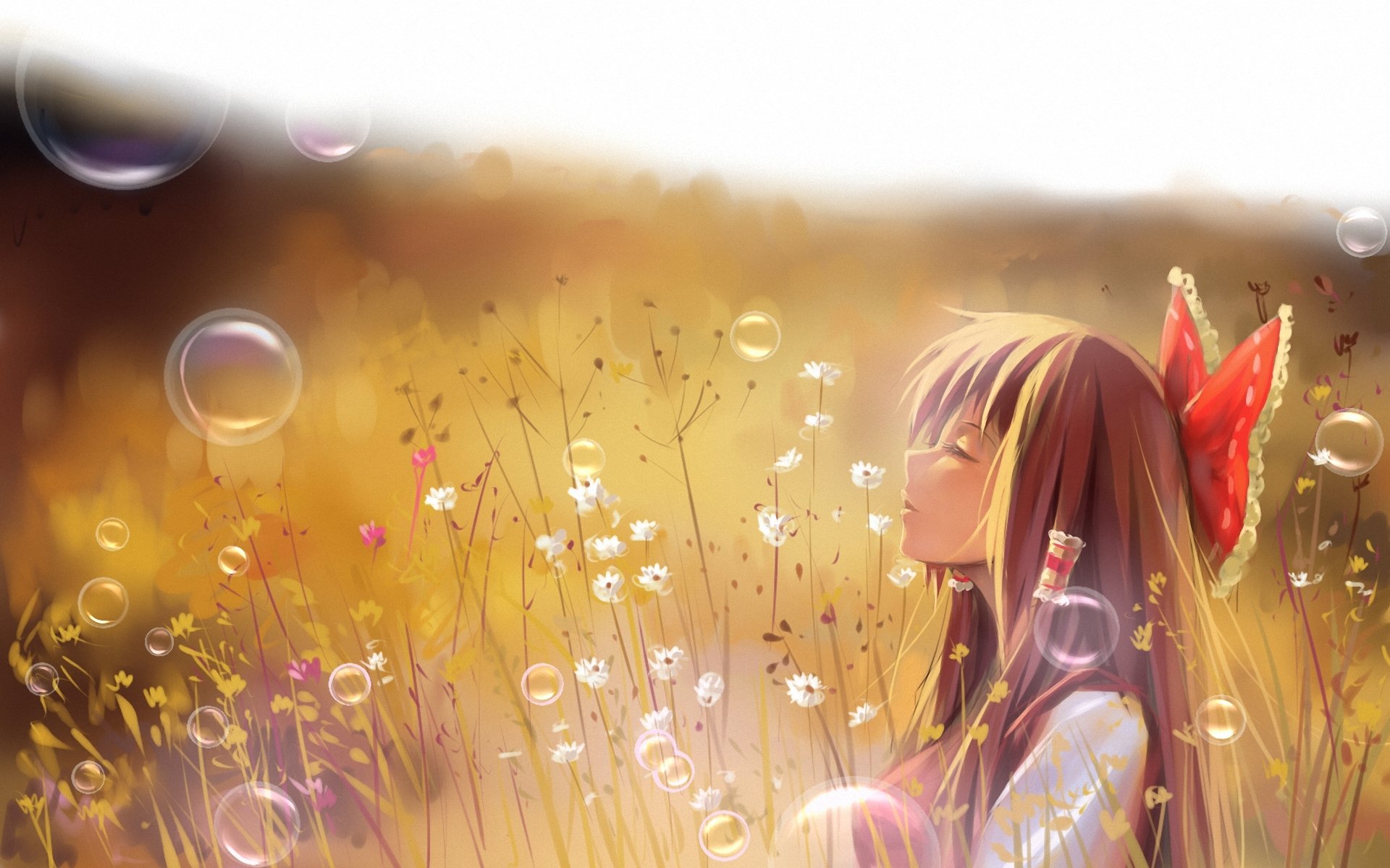 art a luo touhou hakurei reimu girl the field grass section bubble