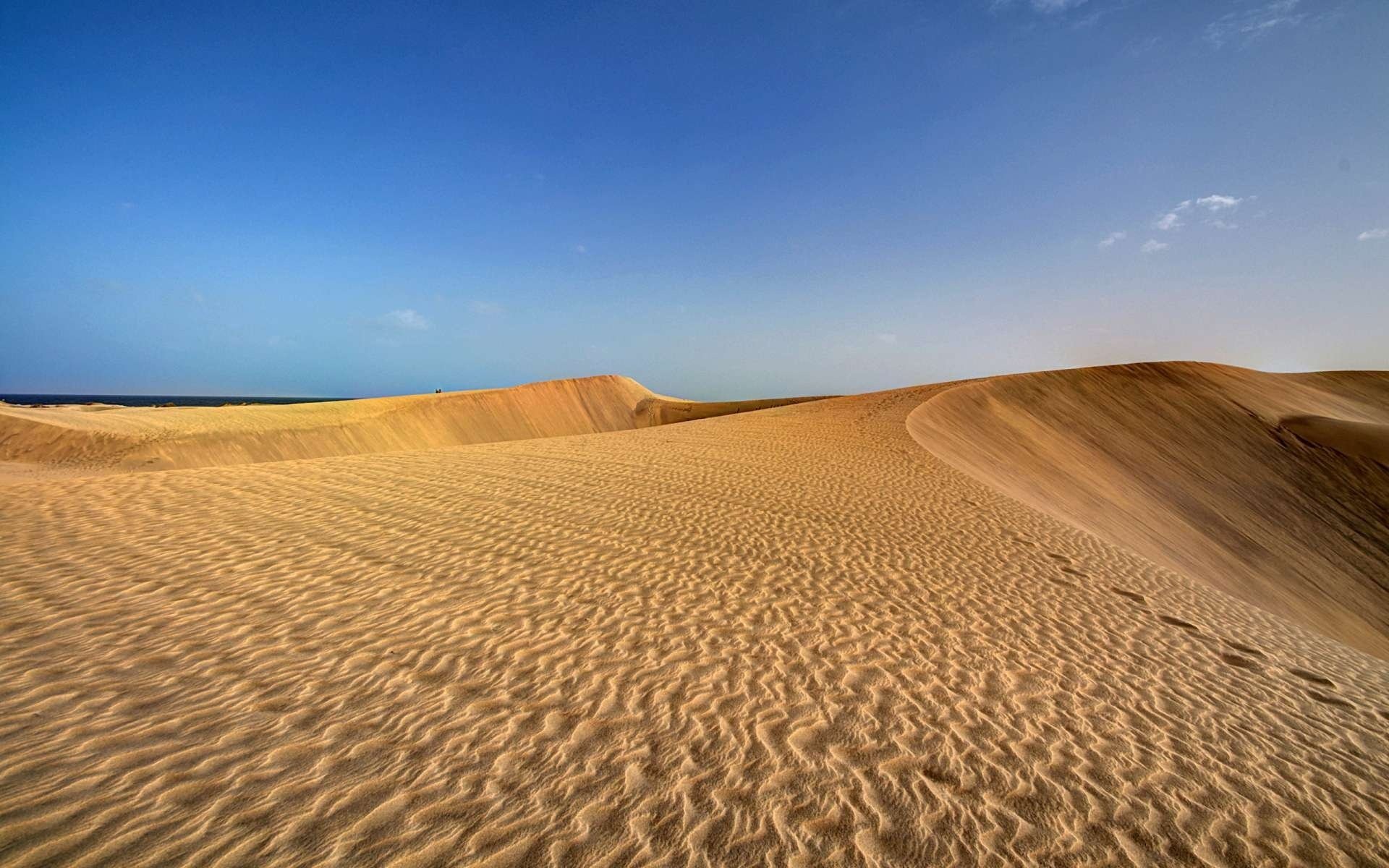 landscape desert sand