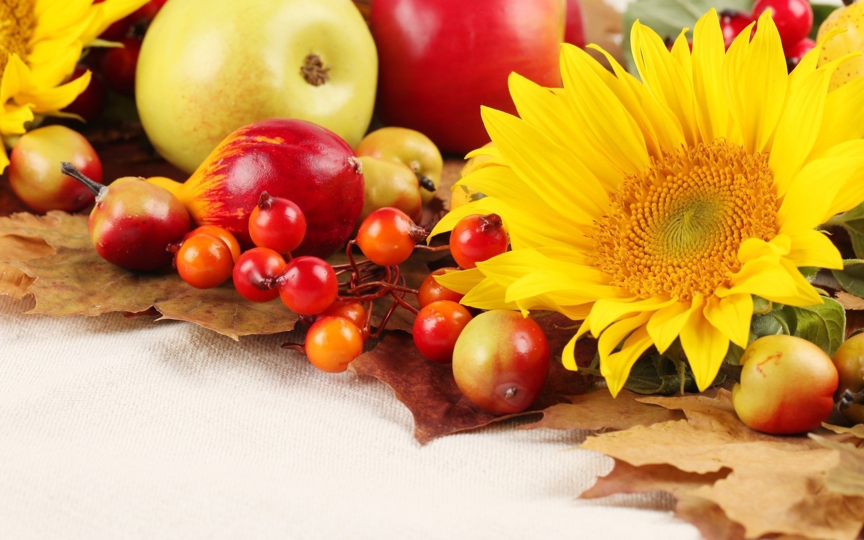 apples autumn sunflowers leave