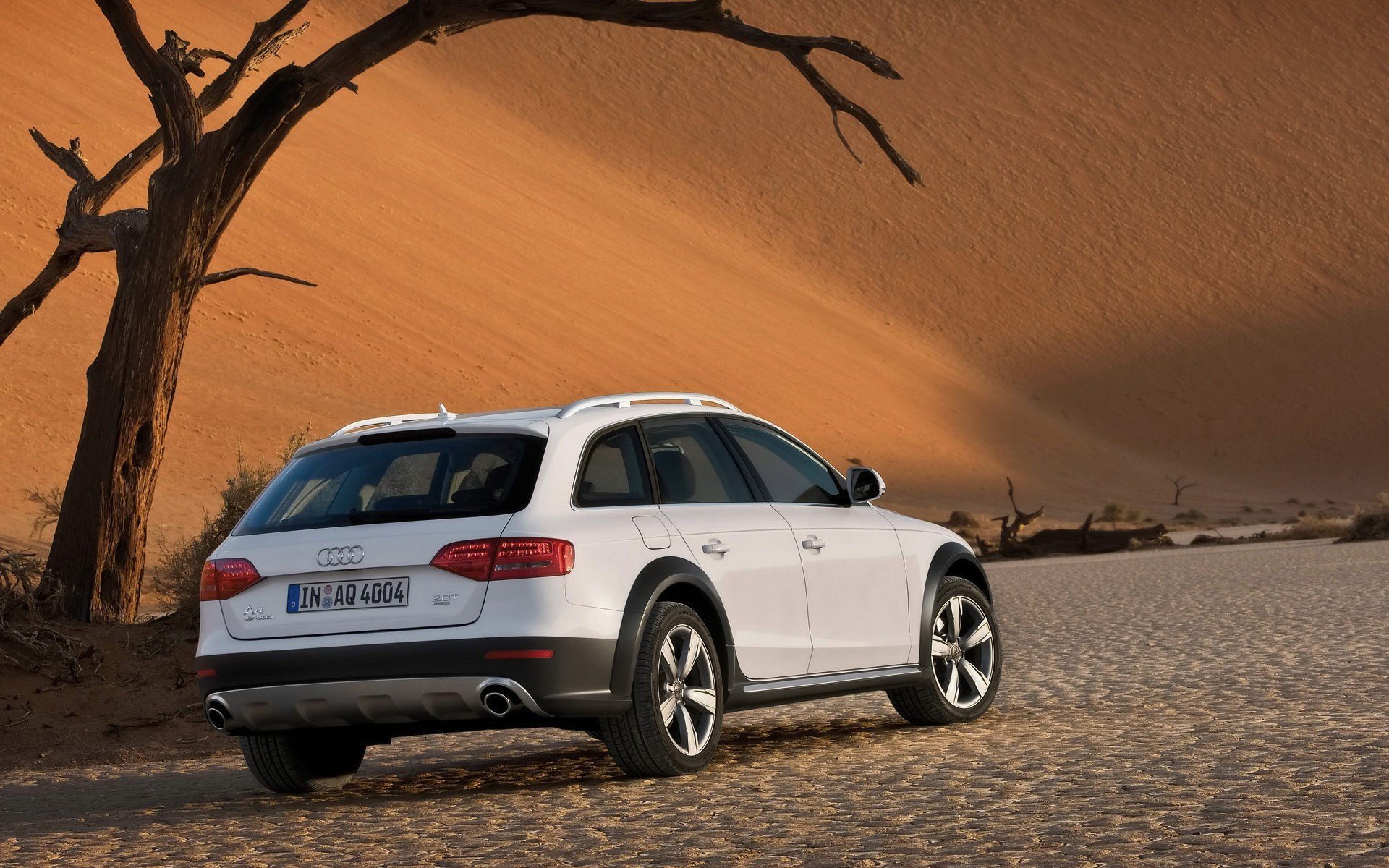 audi allroad blanc désert