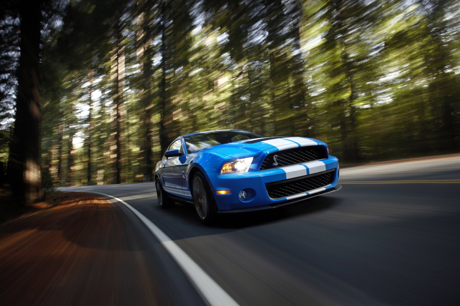 shelby gt500 geschwindigkeit muscle car