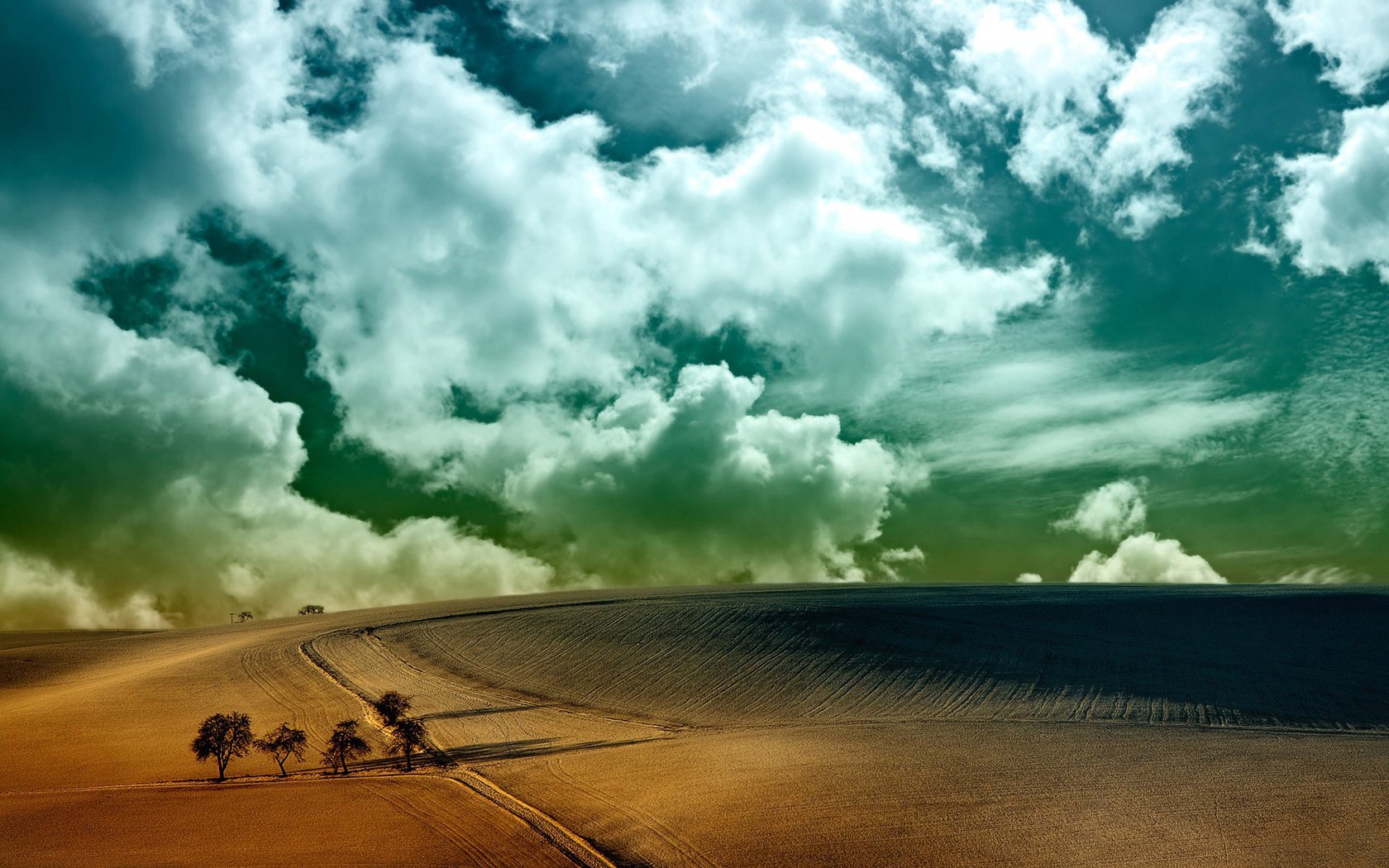 orizzonte alberi cielo campo nuvole