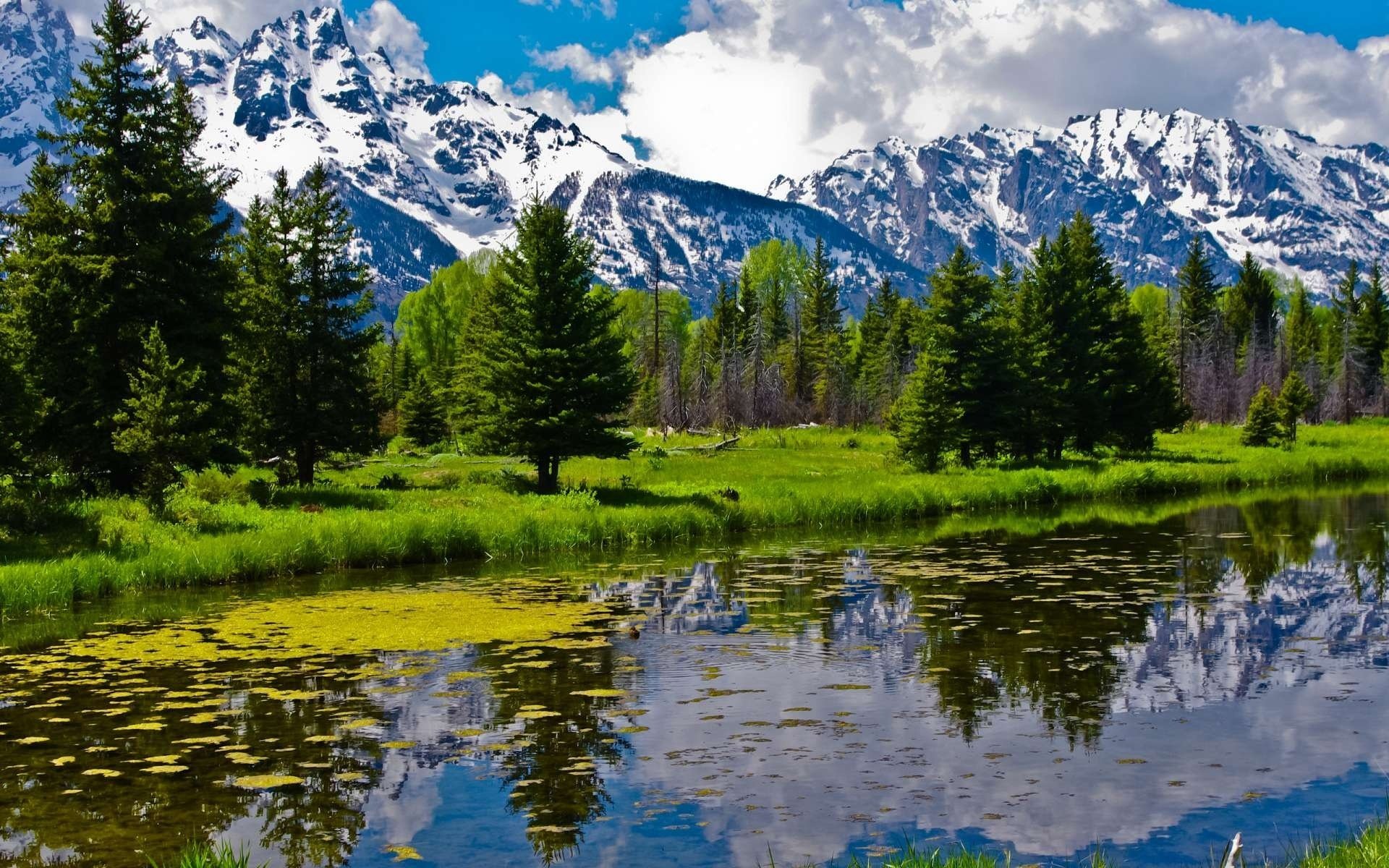 rivière forêt montagnes paysage